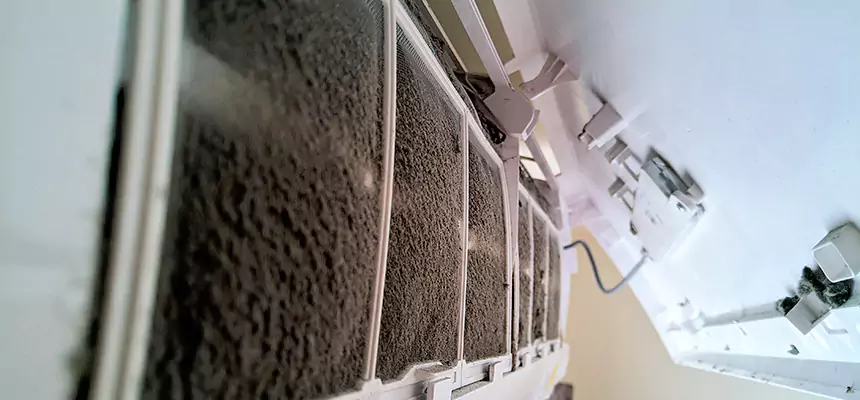 Preventive Air Duct Bacteria Removal in Columbia Heights