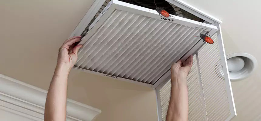 Preventive Cockroach-Proofing for Ducts in Columbia Heights