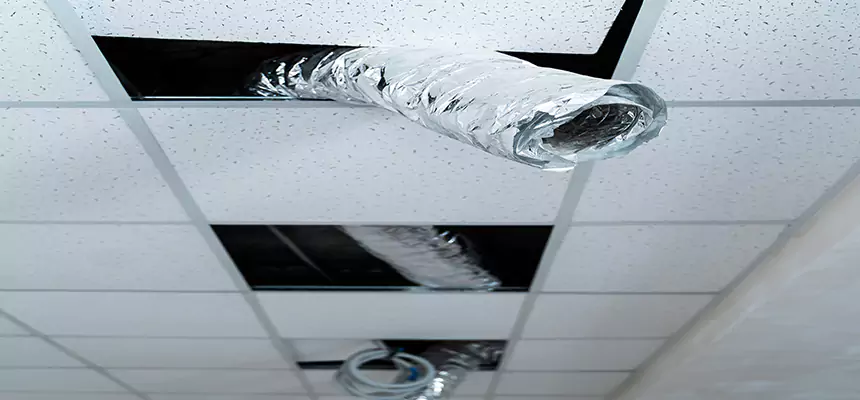 Affordable HVAC Sanitizing After Pest Removal in Columbia Heights