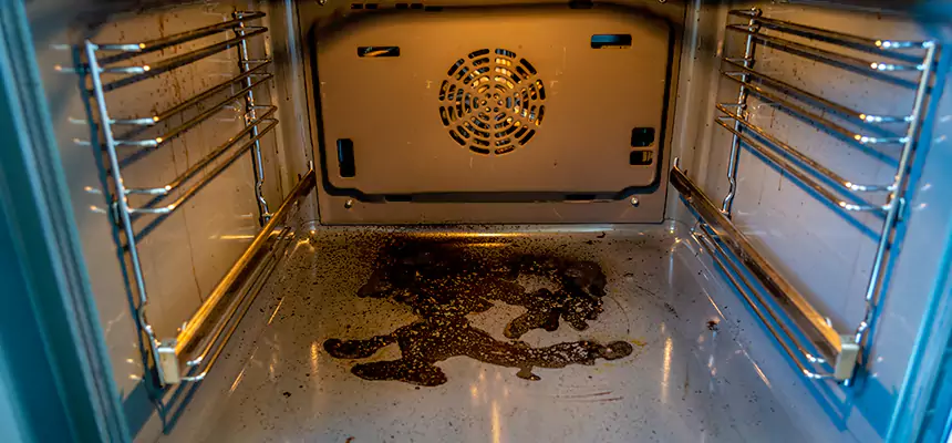 Our Dryer Vent Mold Cleaning Services in Columbia Heights, MN