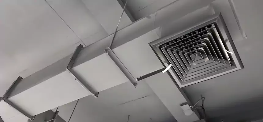 Our Pest Removal From Ducts Services in Columbia Heights, MN