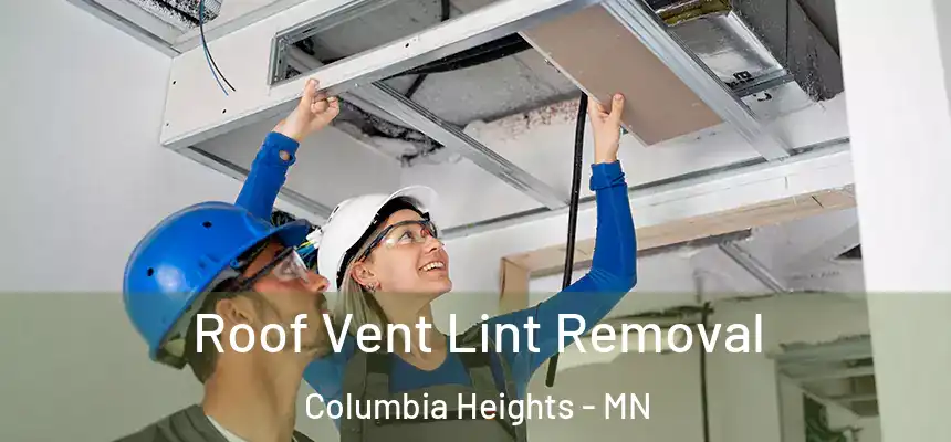 Roof Vent Lint Removal Columbia Heights - MN