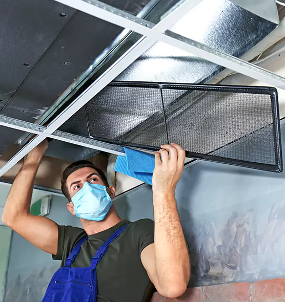 About Air Duct Bacteria Removal in Columbia Heights