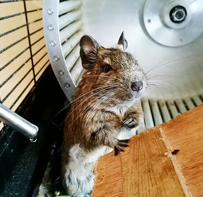 Why Homeowners & Businesses Trust Us Columbia Heights, MN